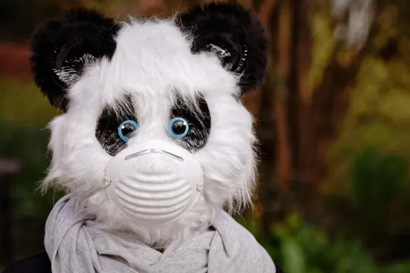 West Casino Supporto